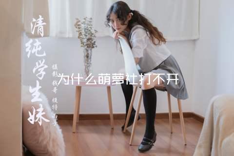 为什么萌萝社打不开